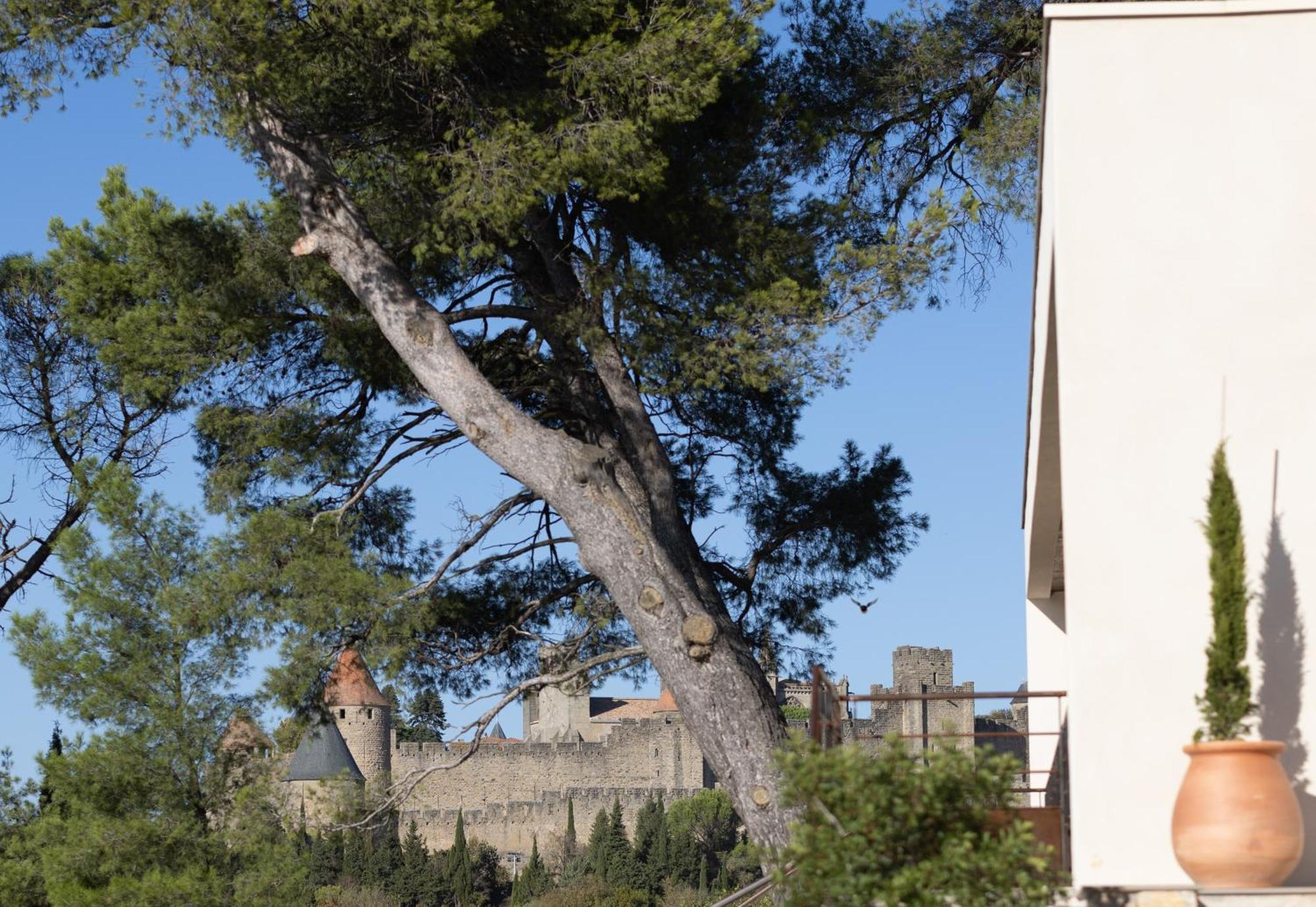 Villa St Francois Piscine Privee Chauffee ,Clim ,Parking Gratuit Carcassonne Eksteriør bilde